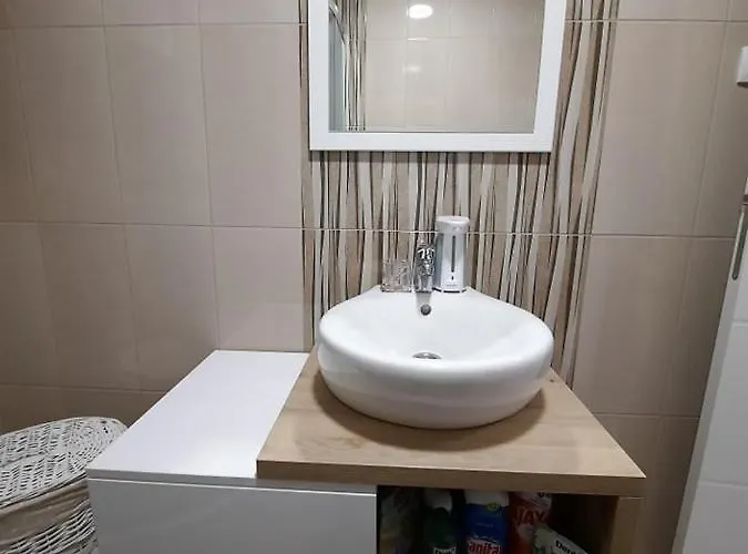 Ljiljana Lux 公寓 松博尔