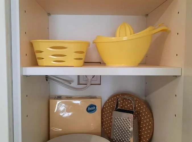 公寓 Ljiljana Lux 松博尔