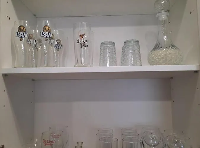 Ljiljana Lux 公寓 松博尔